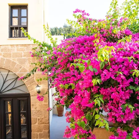 The Old Town House Apartment *