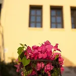 The Old Town House Appartement *