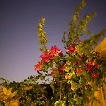 The Old Town House Rhodes City