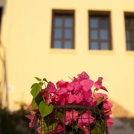 The Old Town House Apartmán *