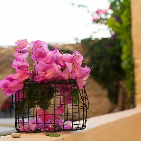 Appartement The Old Town House