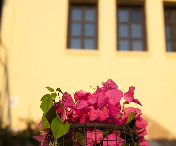 The Old Town House Lejlighed *