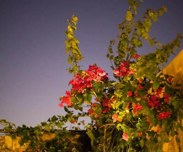 The Old Town House Rhodes City