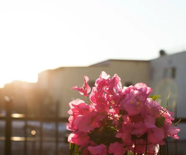 The Old Town House *